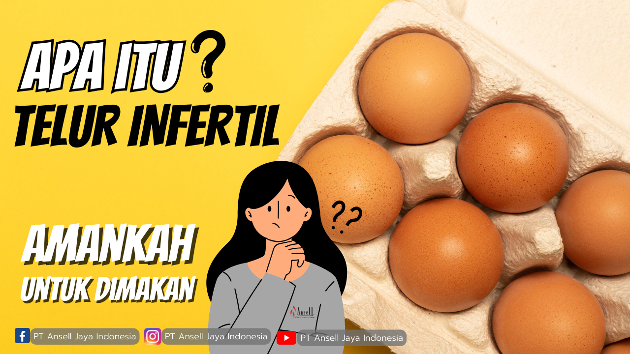 Apa Itu Telur Infertil Berbahayakah