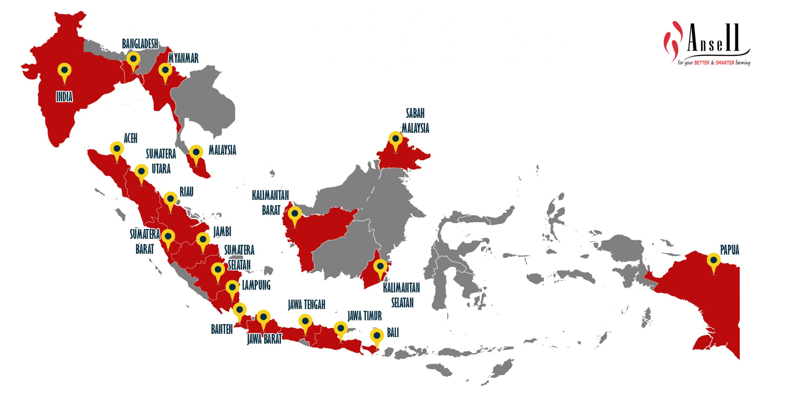 Ansell Jaya Indonesia Coverage Area Projects