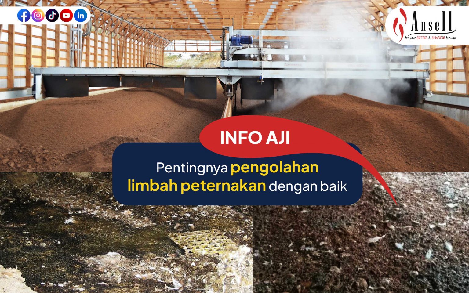 Pentingnya Pengolahan Limbah Peternakan Dengan Baik