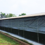 Curtain System: Penyelamat Kandang Saat Darurat