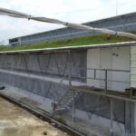 Peran Penting Curtain System di Kandang Ayam