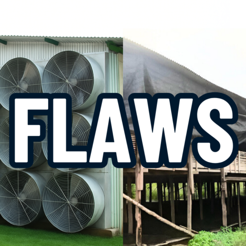 FLAWS: 5 Aspek Penting dalam Peternakan Ayam
