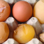 Egg Drop Syndrome, Musuh Produktivitas Ayam Petelur