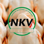 Kenali NKV, Kunci Legalitas & Mutu Hasil Peternakan