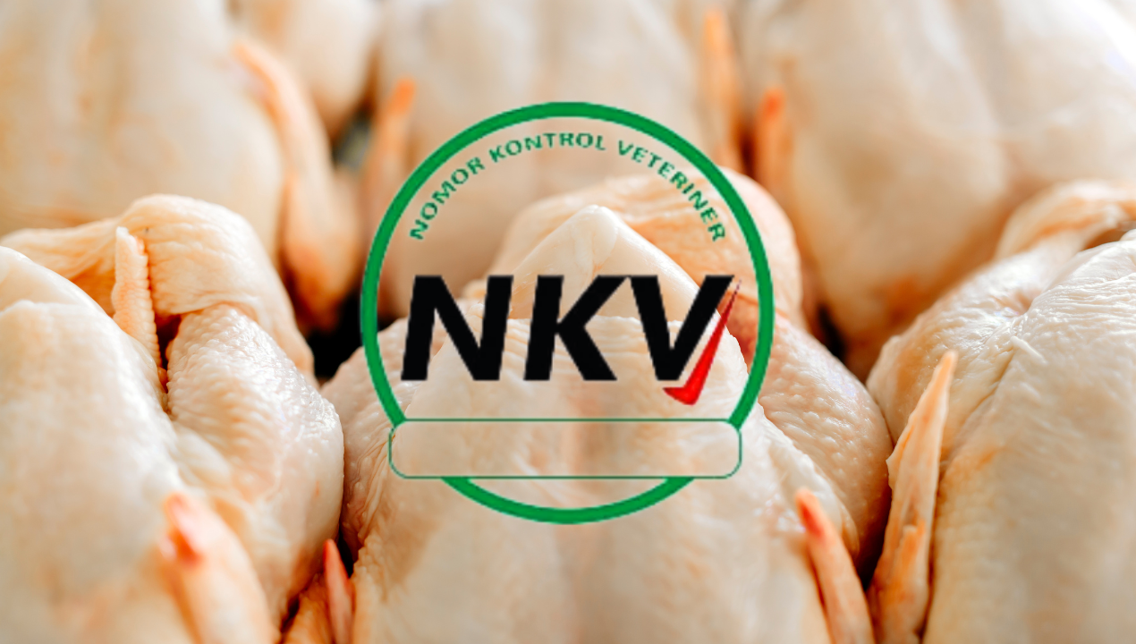 NKV Standar Wajib untuk Peternak Profesional