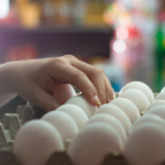 Telur Infertil: Bahaya di Balik Harga Telur Murah