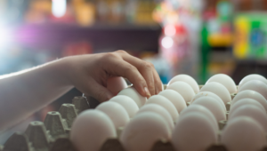 Telur Infertil: Bahaya di Balik Harga Telur Murah